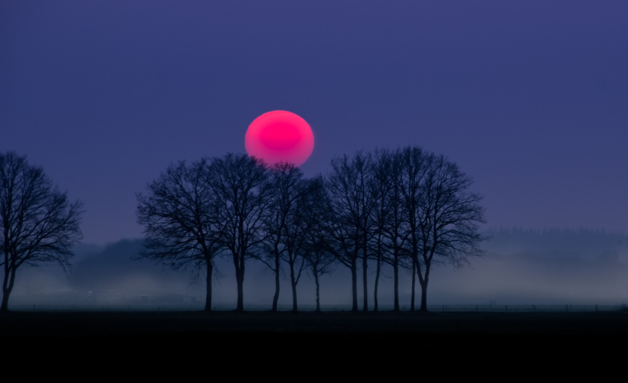 Image - red sun fog landscape nature