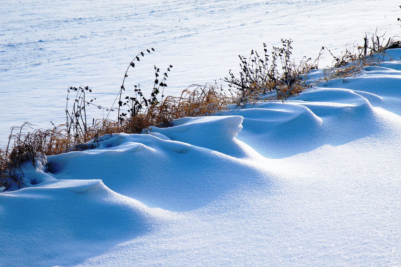 Image - snowdrifts winter impressions wintry