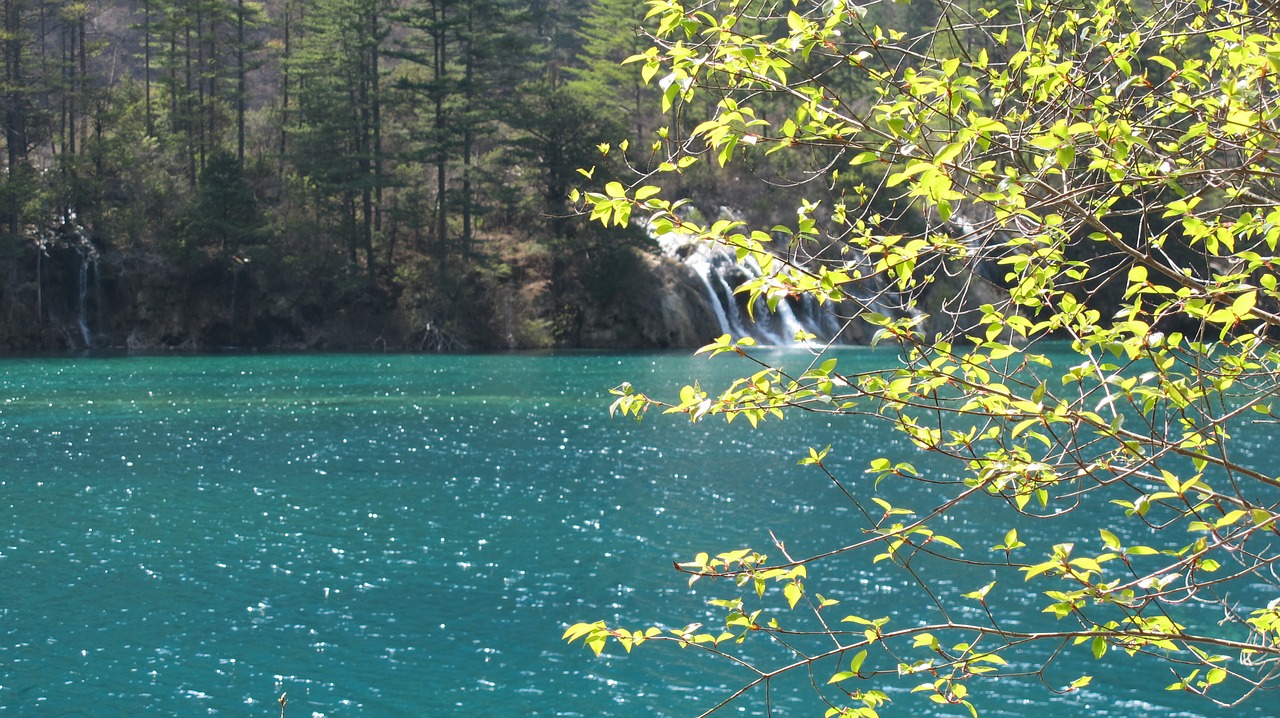 Image - save spring jiuzhaigou sea