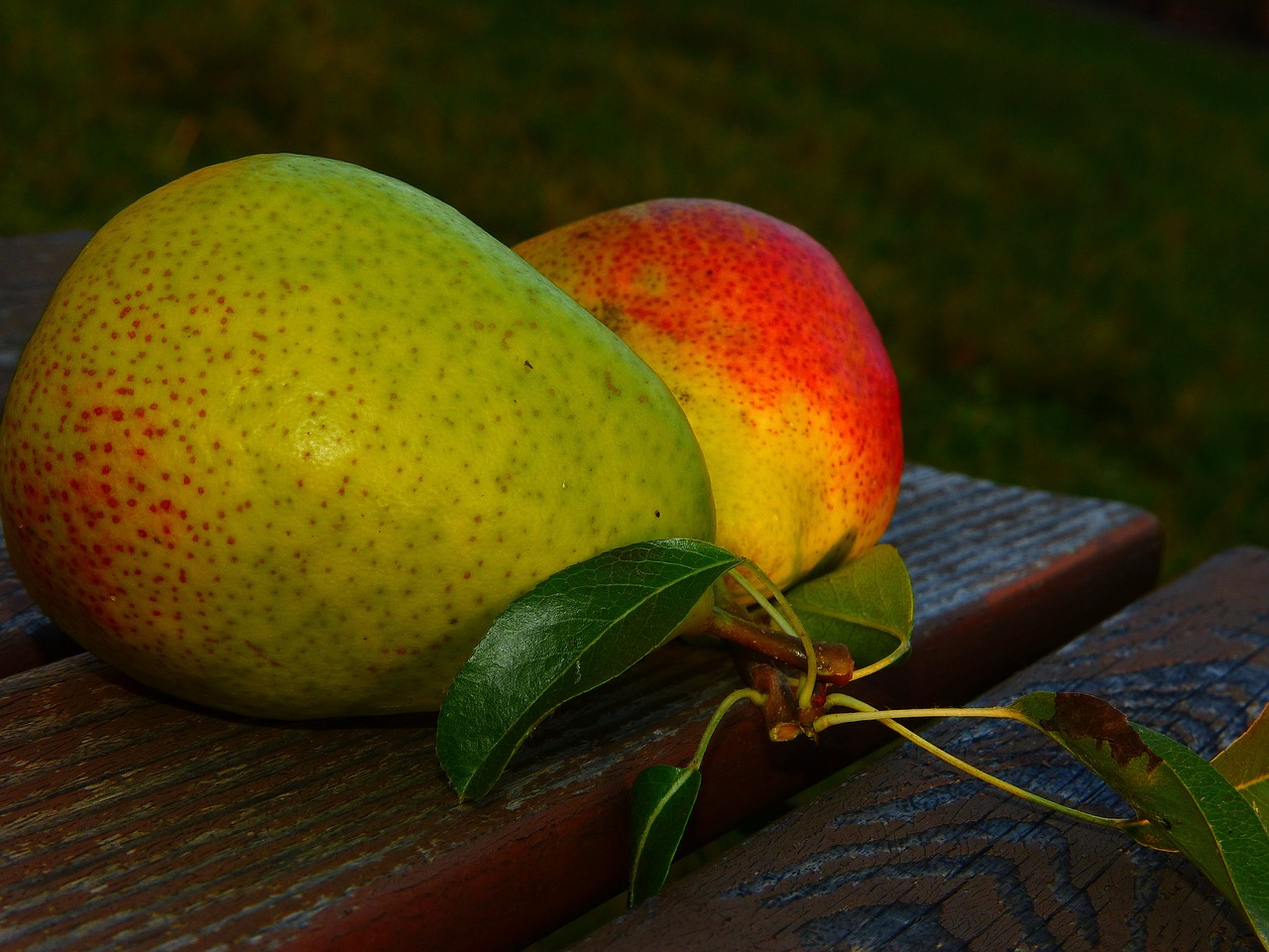 Image - pears good luise fruit leaves