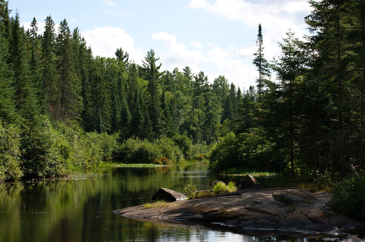 Image - algonquin provincial park