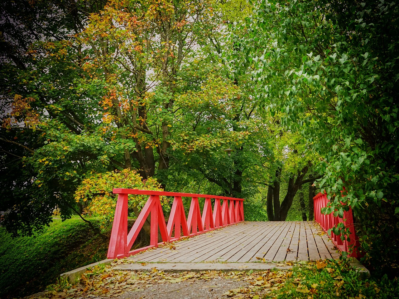 Image - autumn bridge park red trees wood