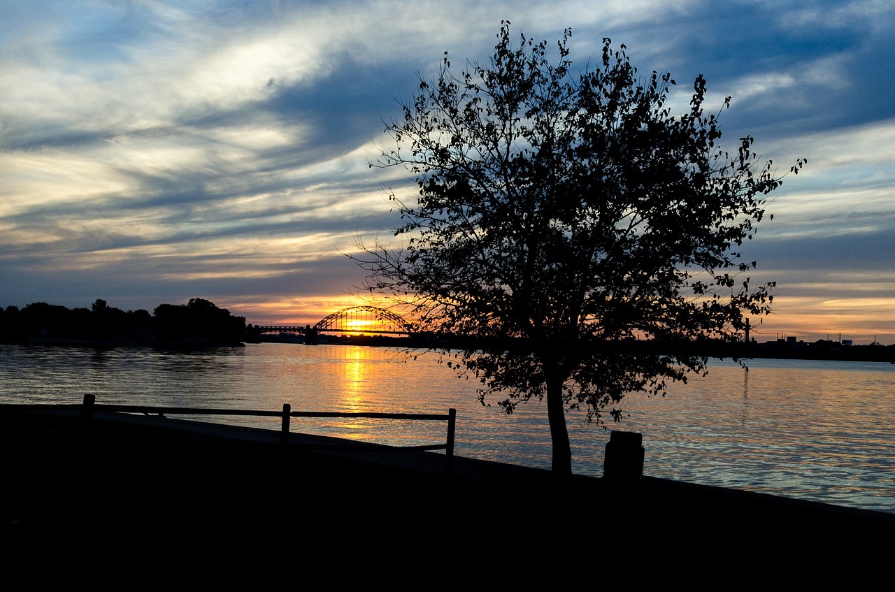 Image - sunset delaware river tree