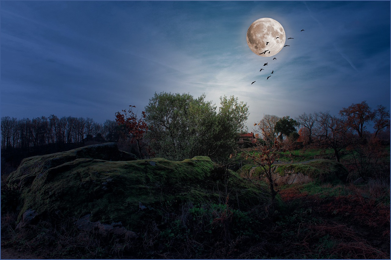 Image - landscapes moon night full moon