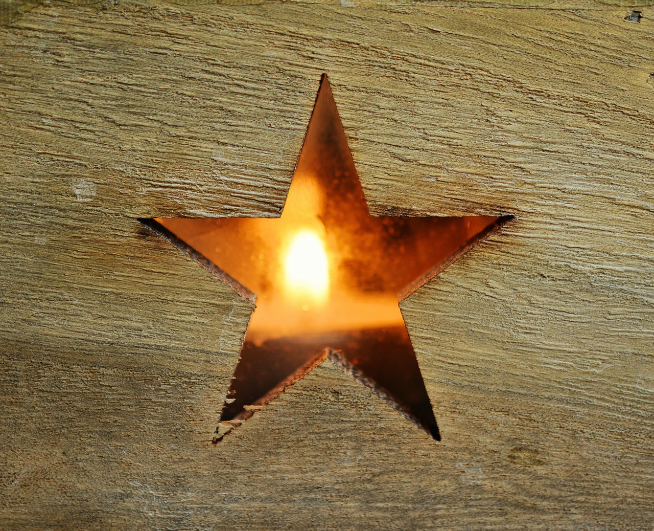 Image - poinsettia star wood