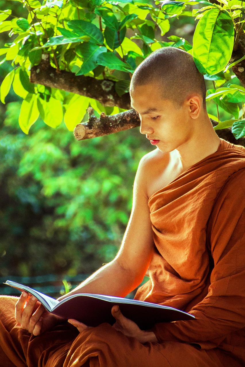 Image - theravada monk buddhist religion