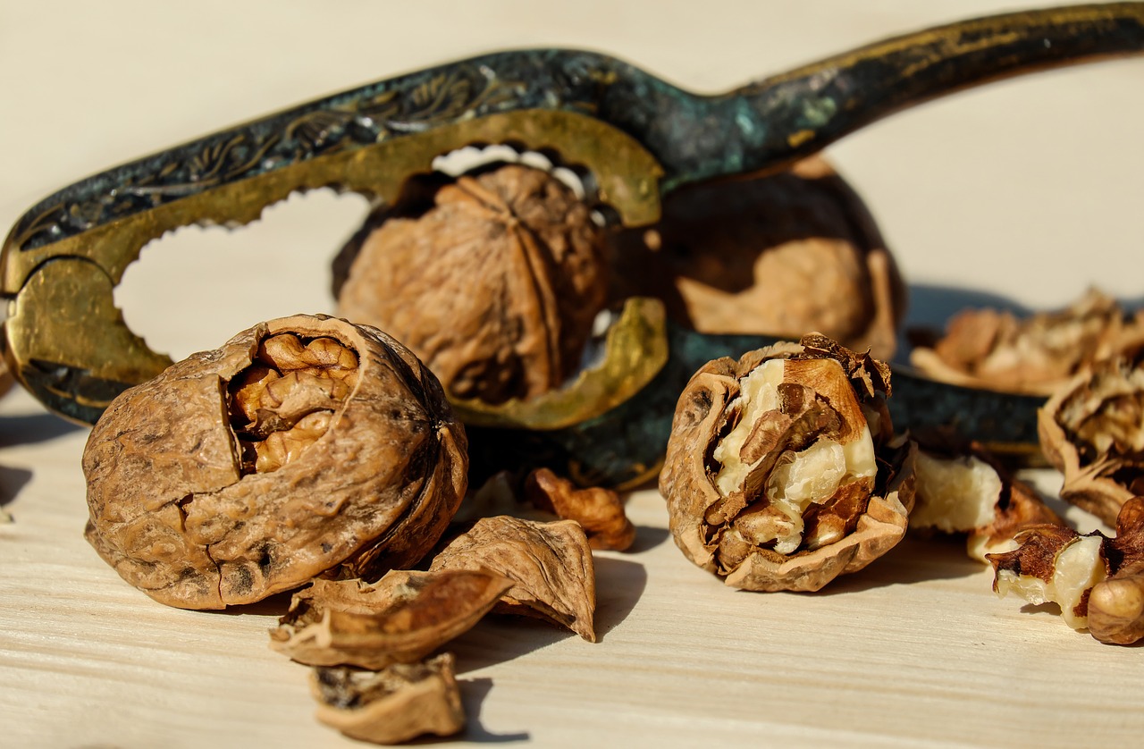 Image - walnut nut brown fruit bowl food