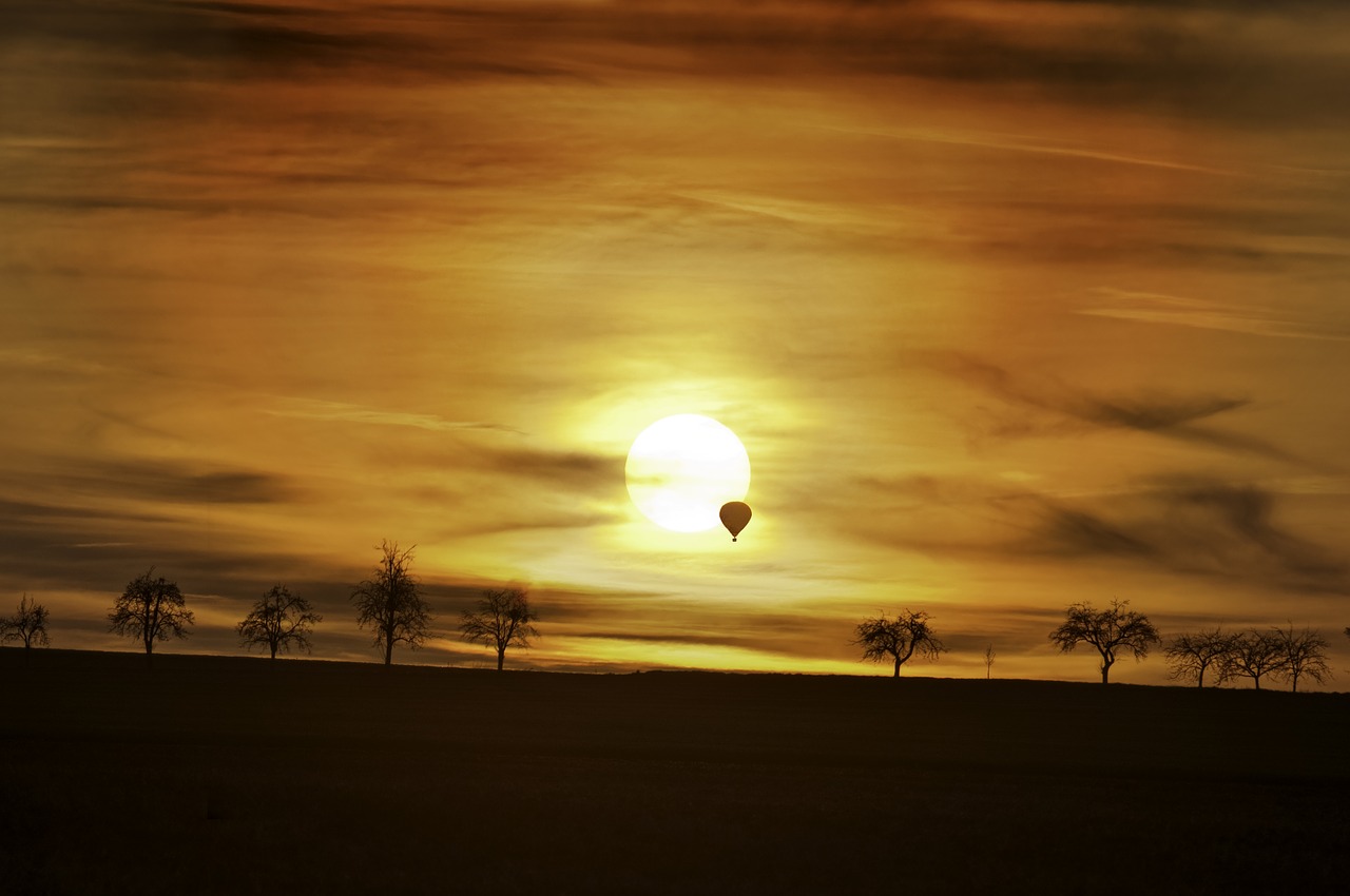 Image - sunset balloon trees sky landscape