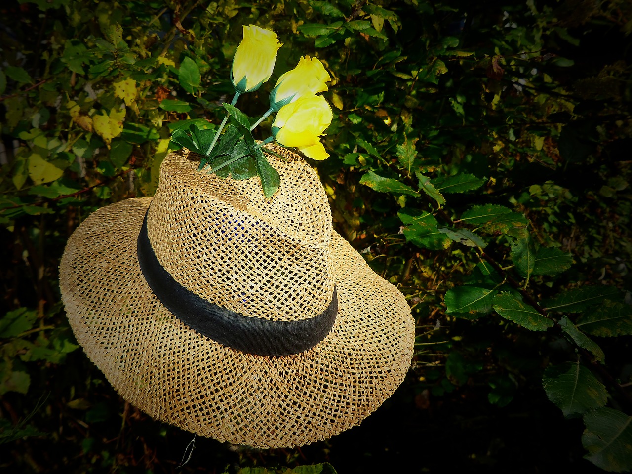 Image - straw hat hat sun hat