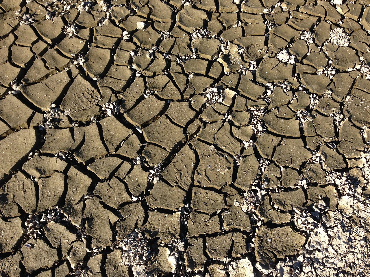 Image - ground earth cracked dry soil