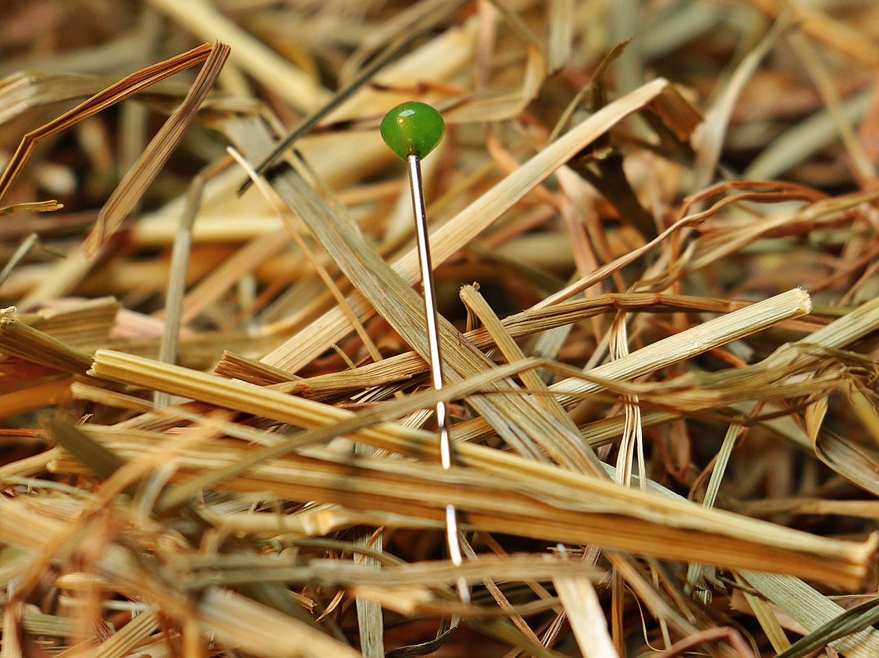 Image - needle in a haystack needle haystack