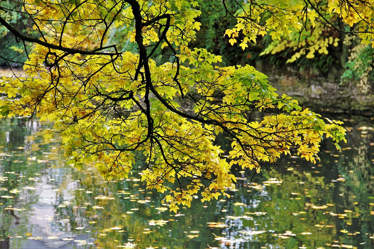 Image - golden october autumn idyll