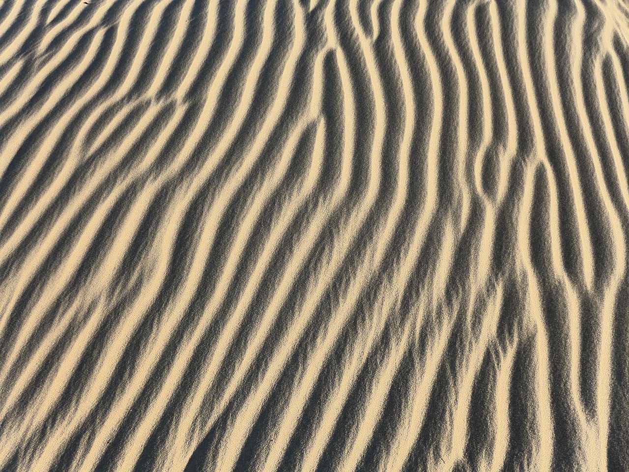 Image - desert sand dune background