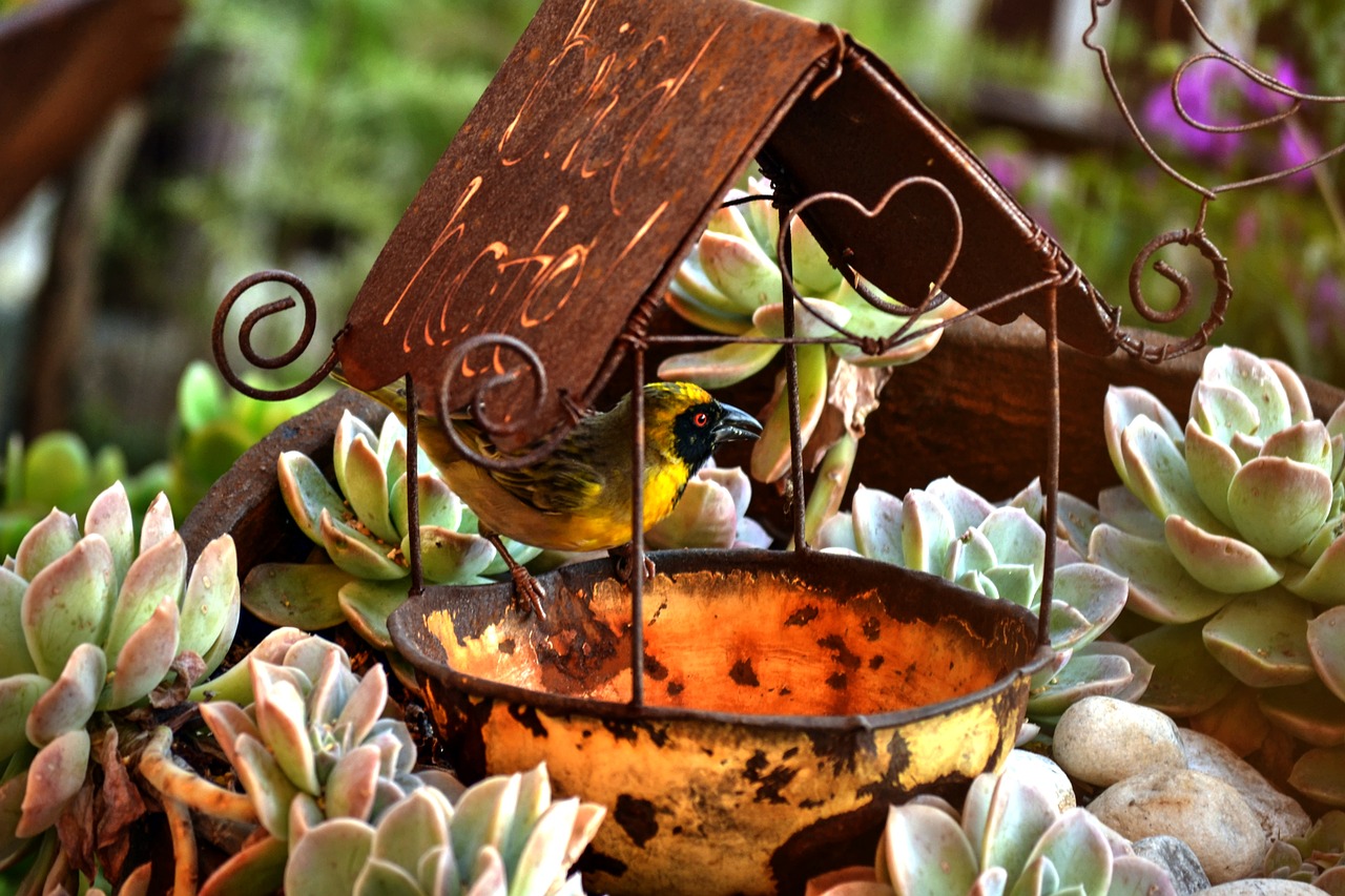 Image - swallow feeding garden