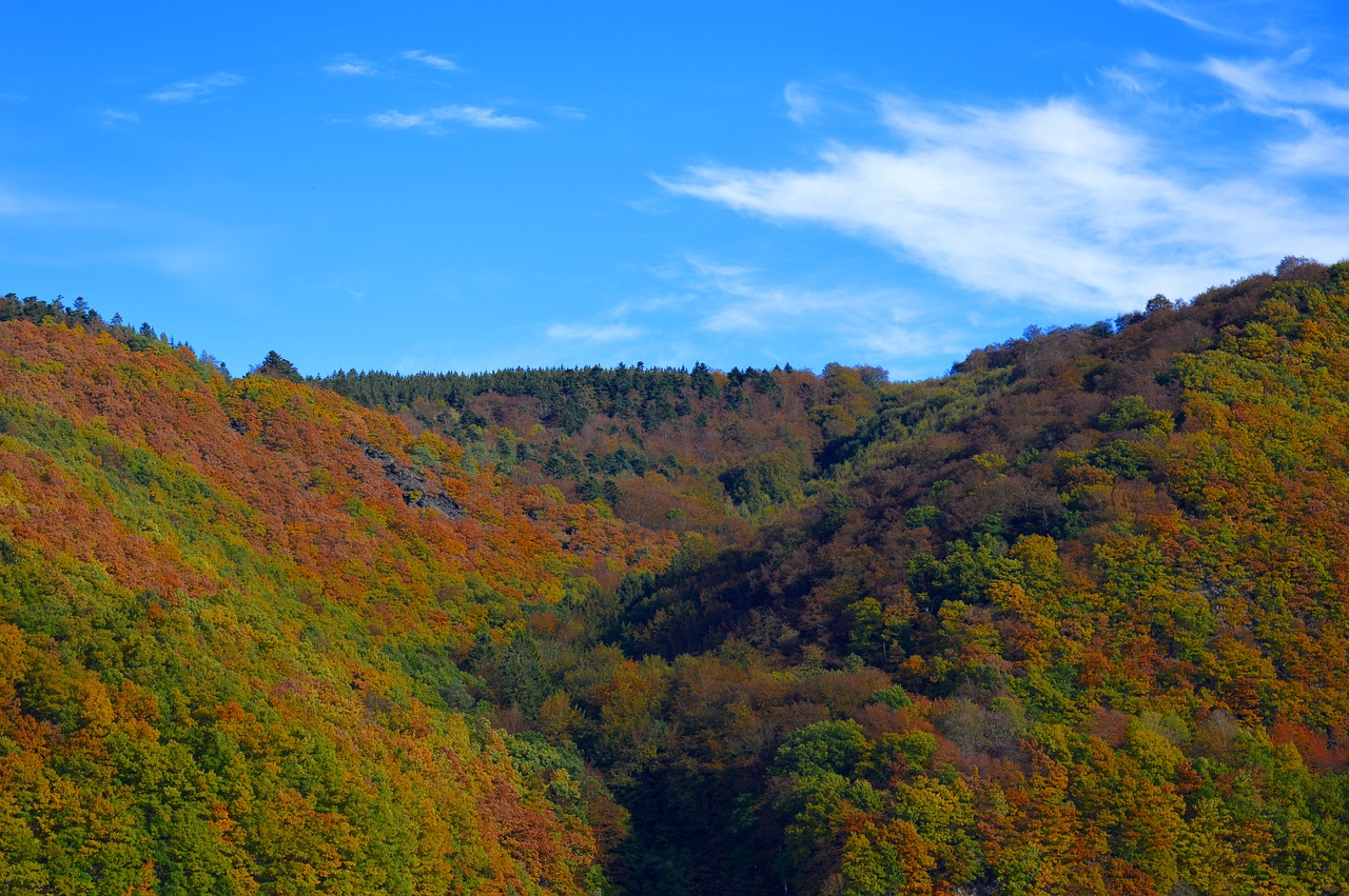 Image - rurtalsperre eifel germany