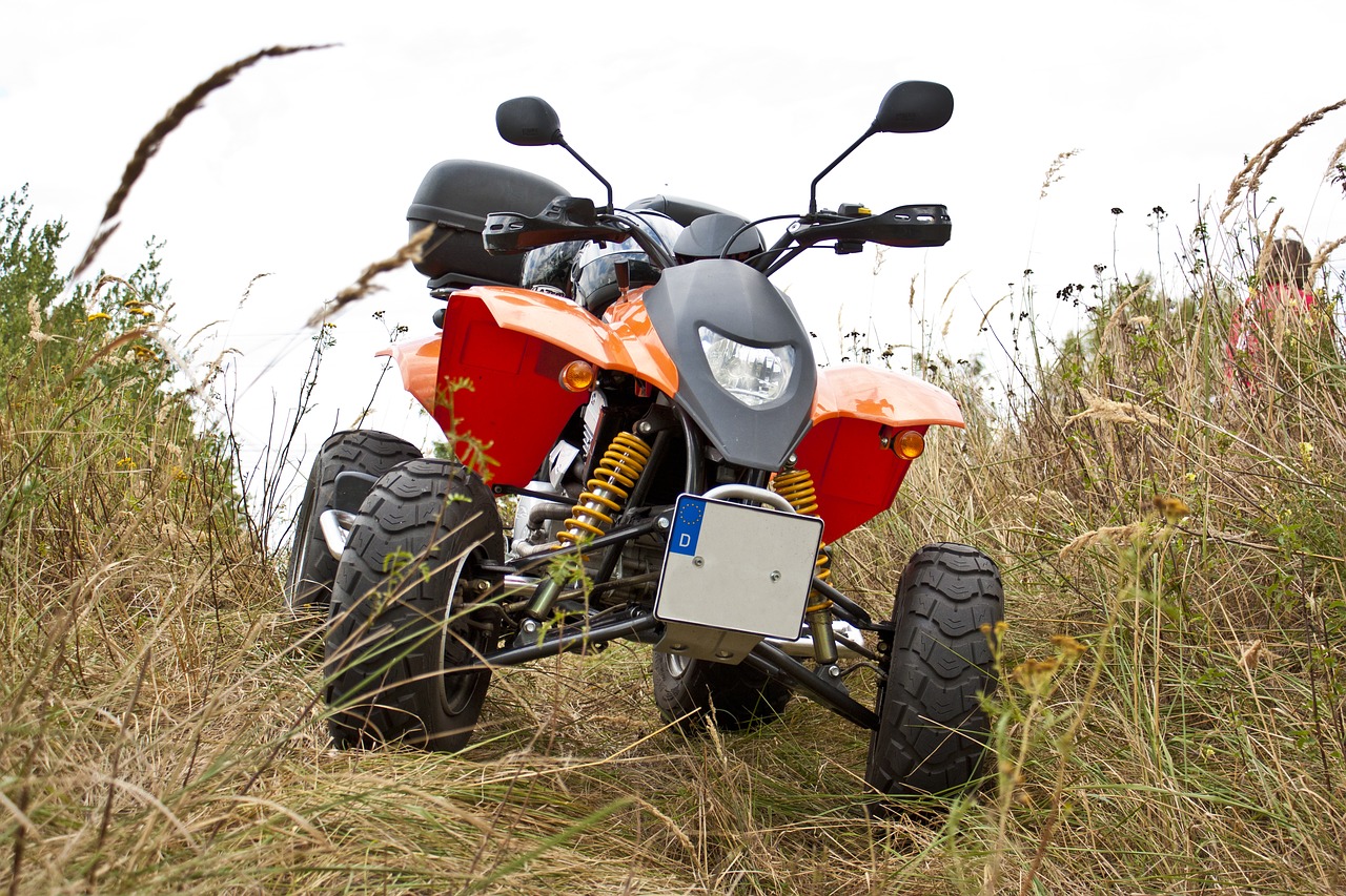 Image - quad landscape dry grass outdoors