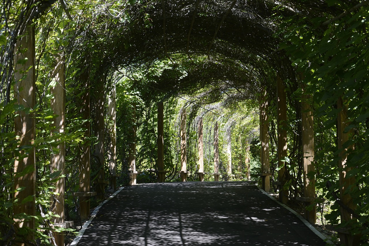 Image - shenyang botanical garden corridor