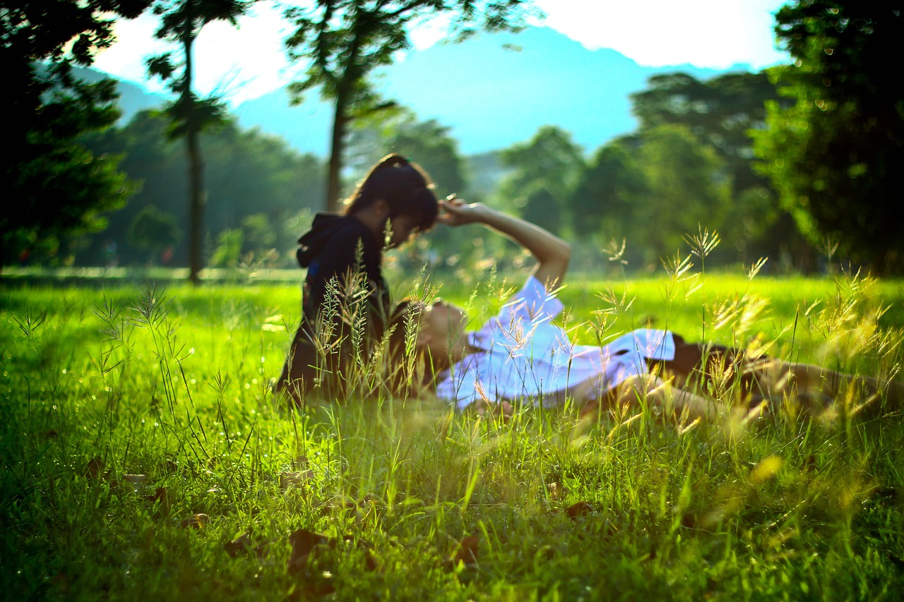 Image - romance sunset evening love grass