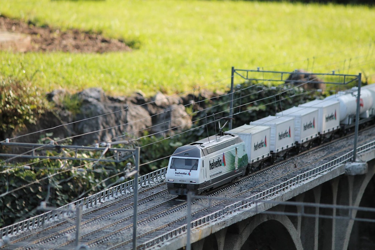Image - model train swissminiatur melide