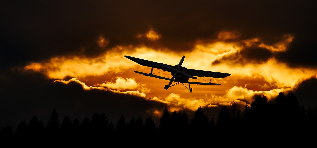 Image - travel fly aircraft sky sunset
