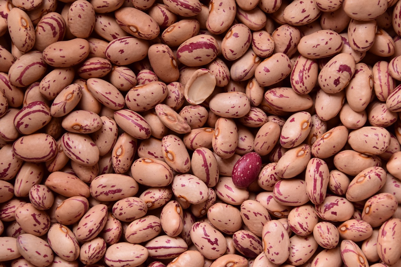 Image - beans quail beans legumes healthy