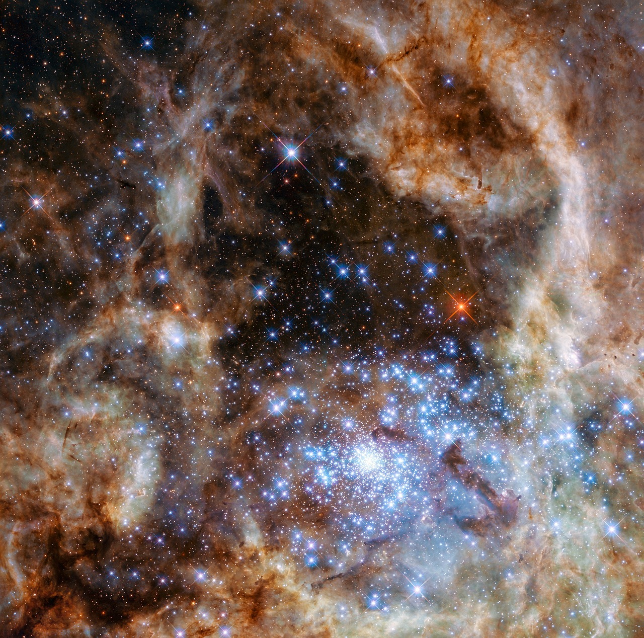 Image - tarantula nebula space 30 doradus