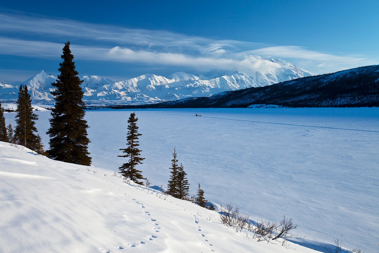 Image - landscape mountains snow denali