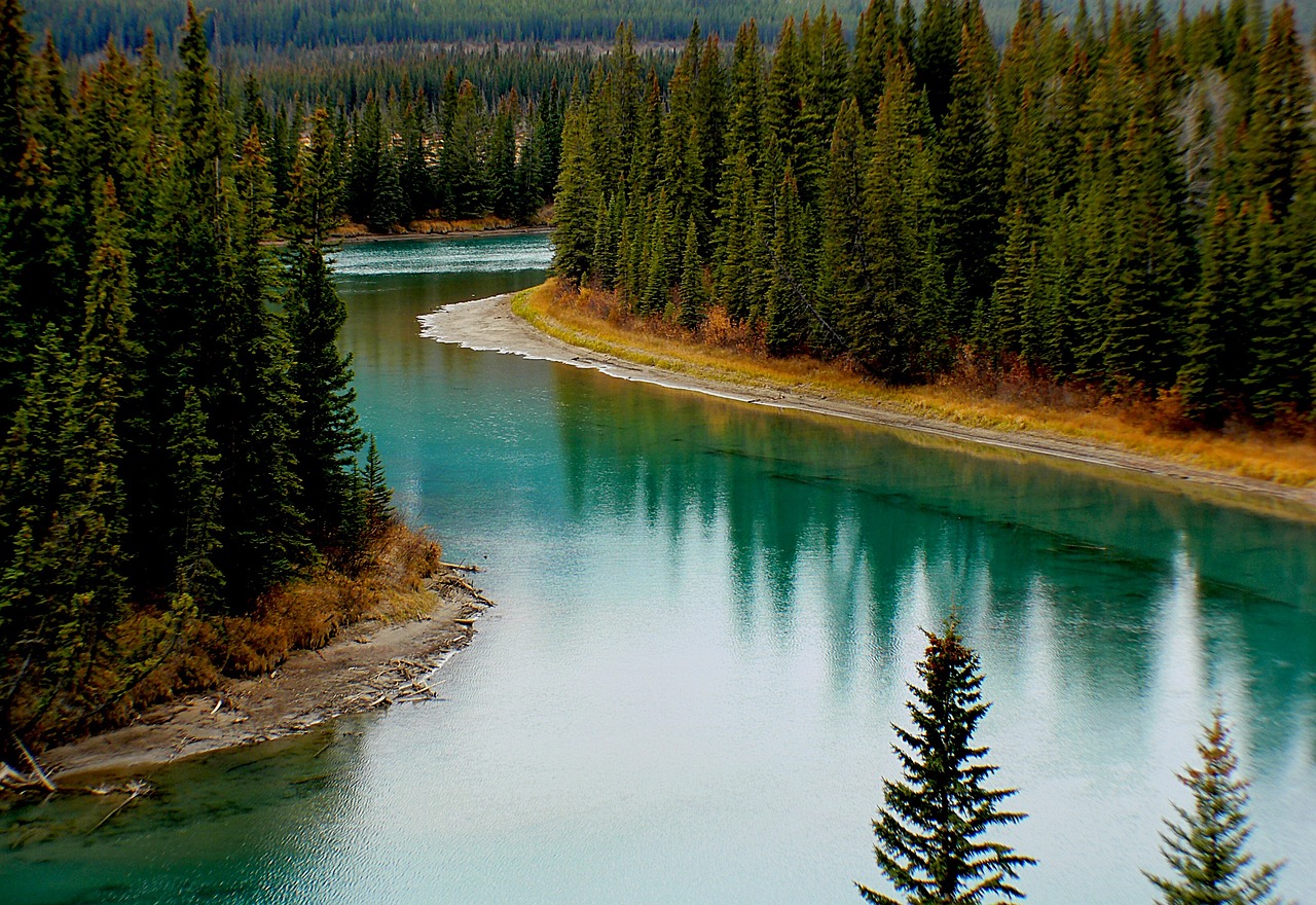 Image - landscape bow river alberta canada