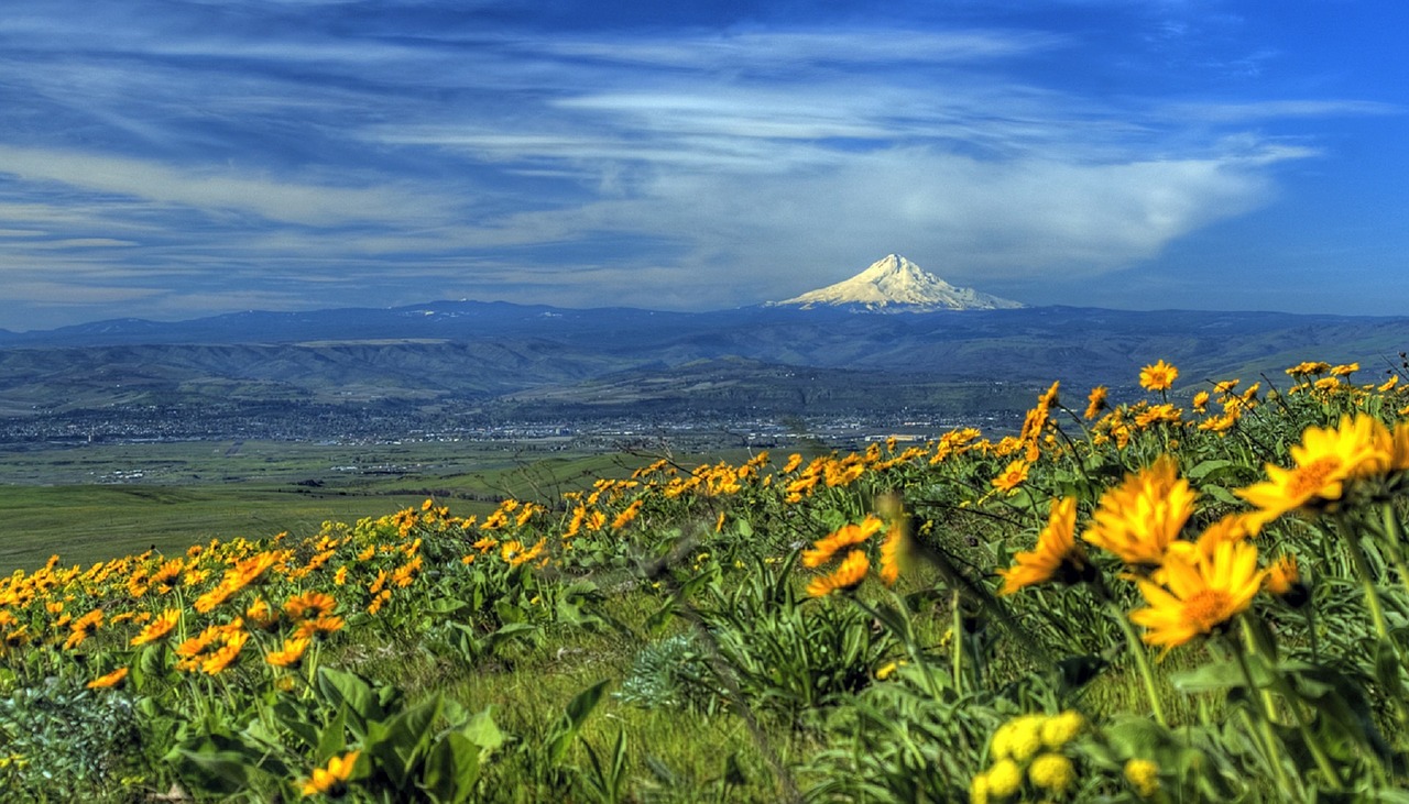 Image - mount hood landscape scenic