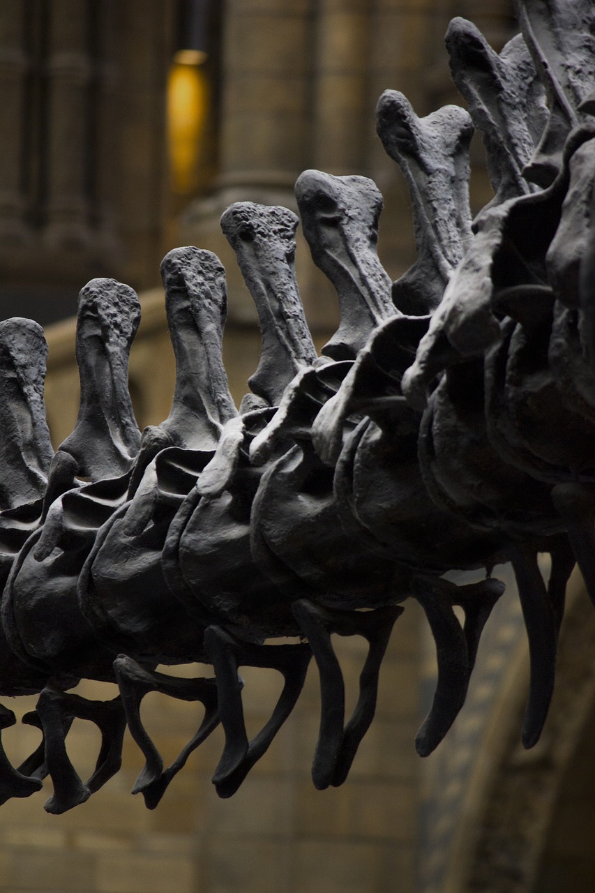 Image - london museum history dinosaur