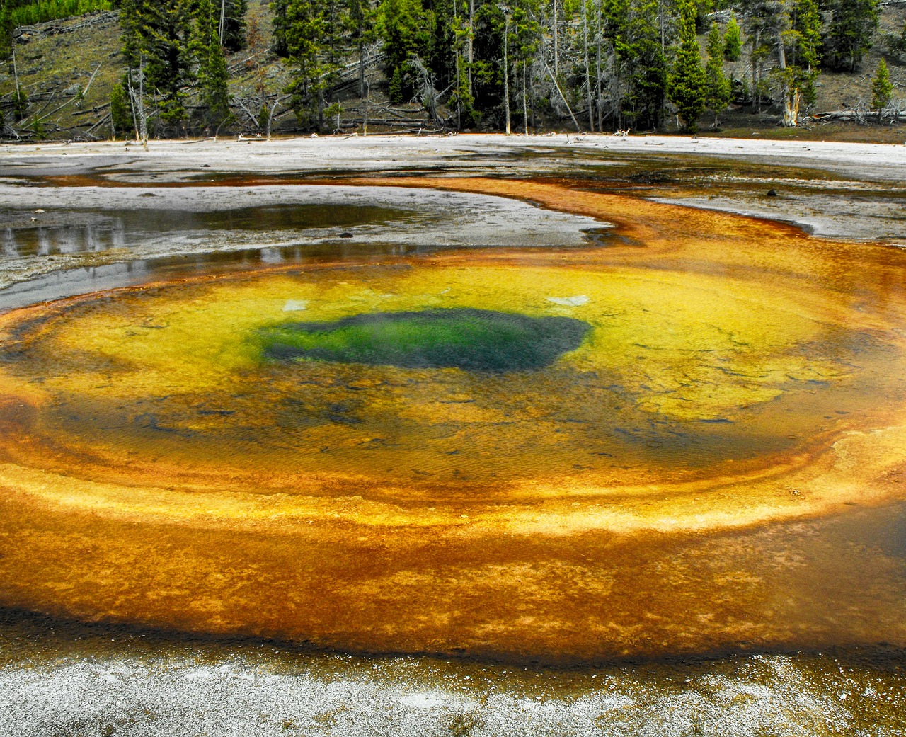 Image - geyser national park wyoming