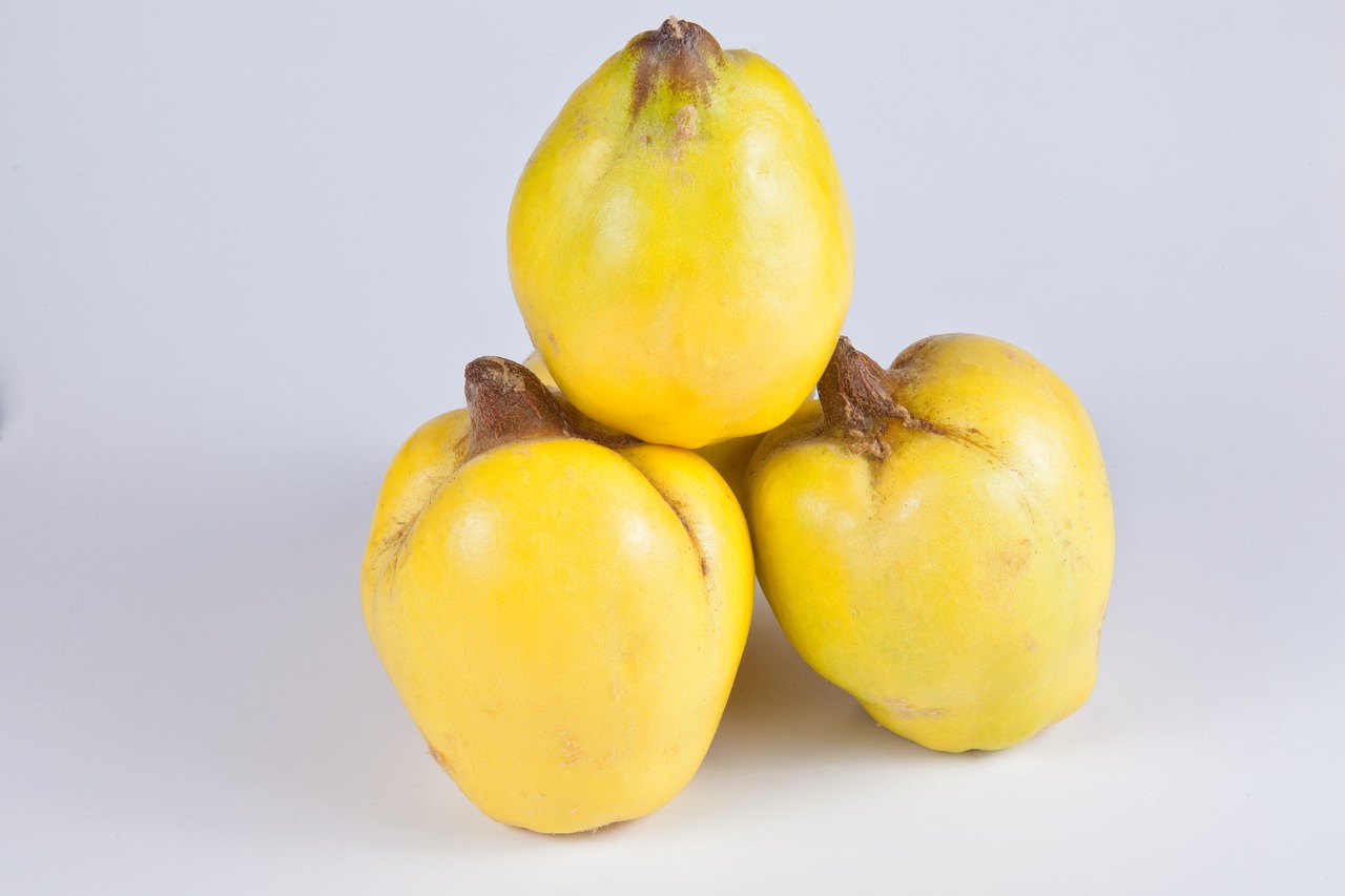 Image - quince yellow fruits pome fruit