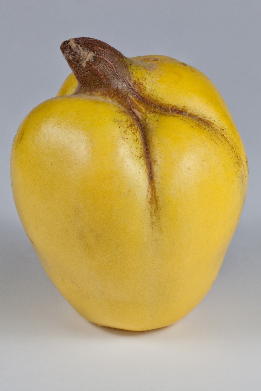 Image - quince yellow fruits pome fruit