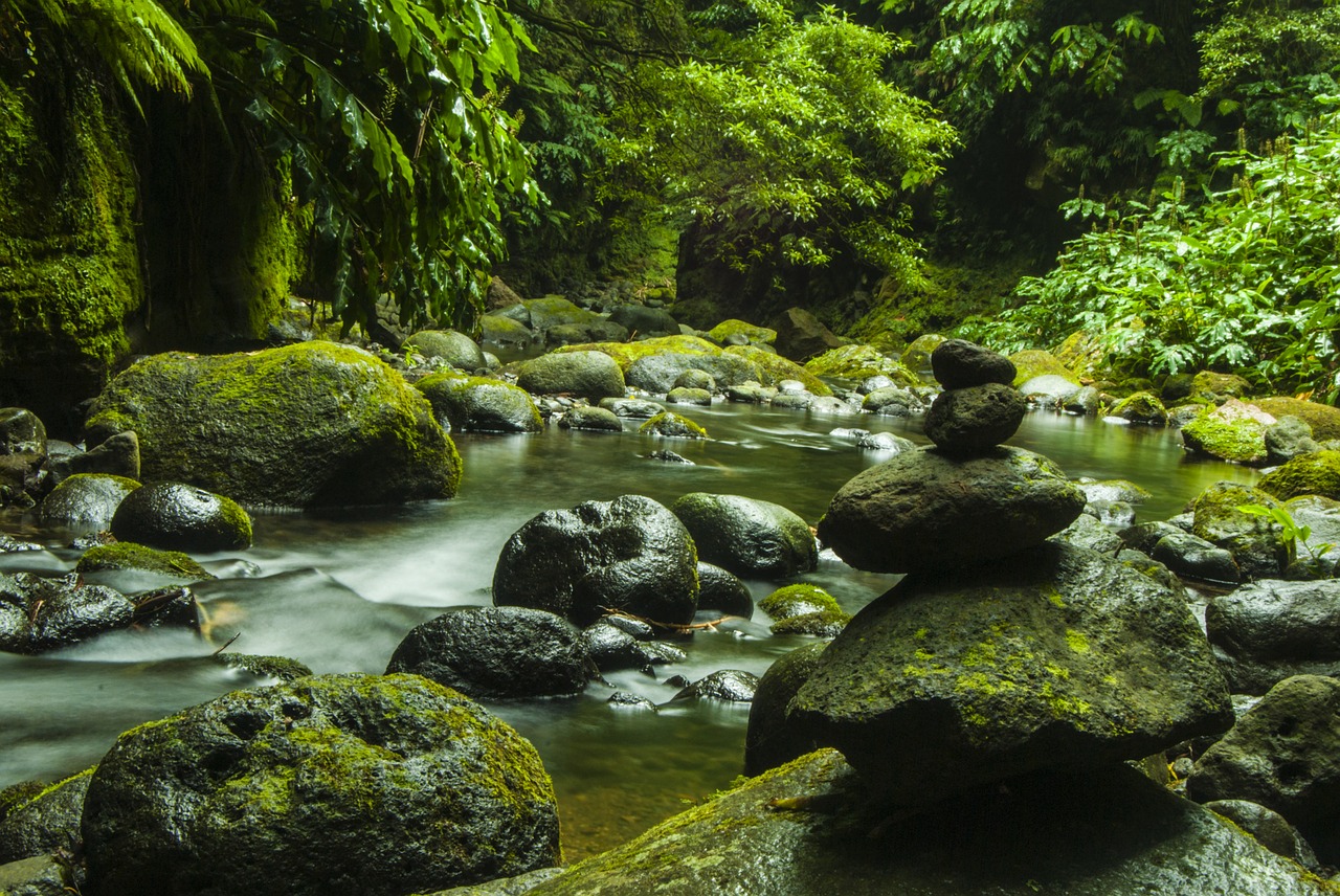 Image - natural landscape azores nature