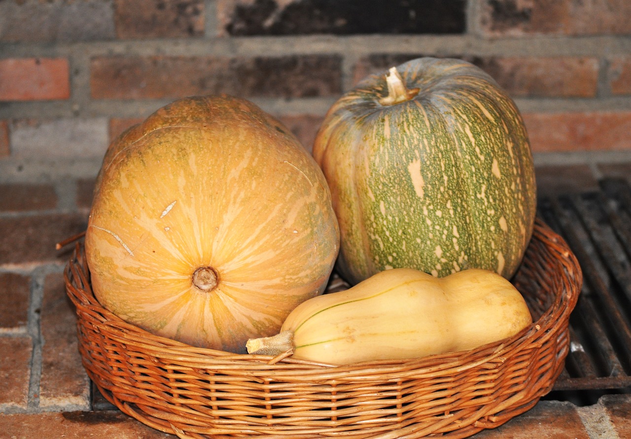 Image - still life pumpkins harvest autumn