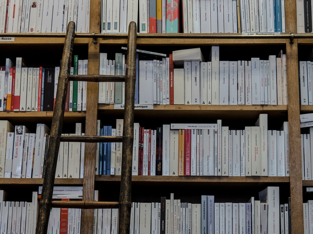 Image - bookshop library books ladder