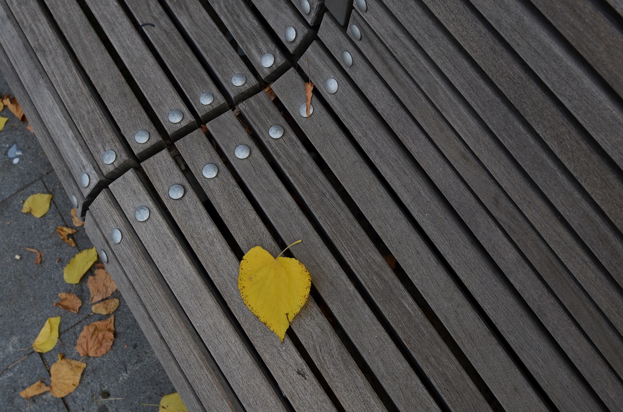 Image - pad holidays autumn yellow nature