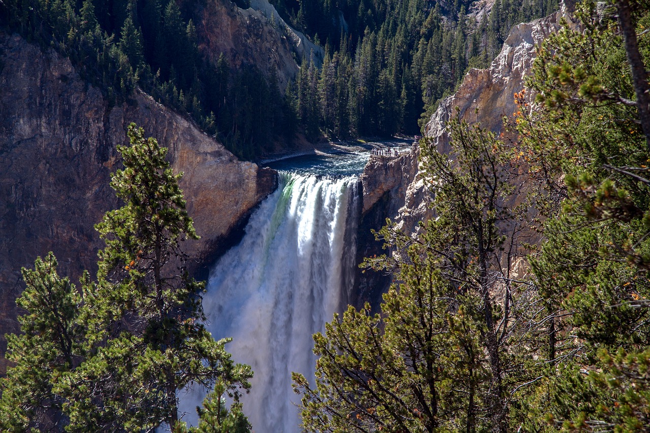 Image - yellowstone national park lower falls