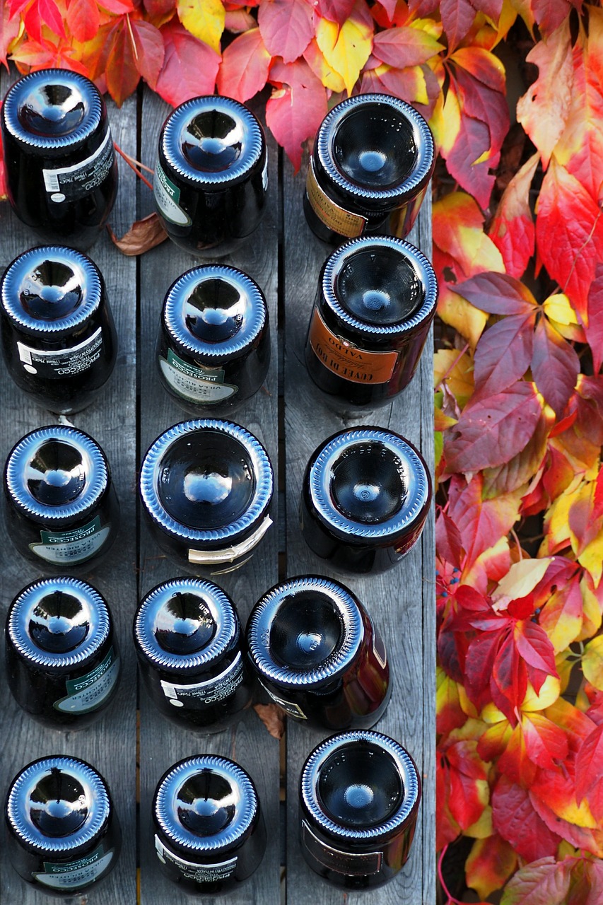 Image - wine glass autumn orange red