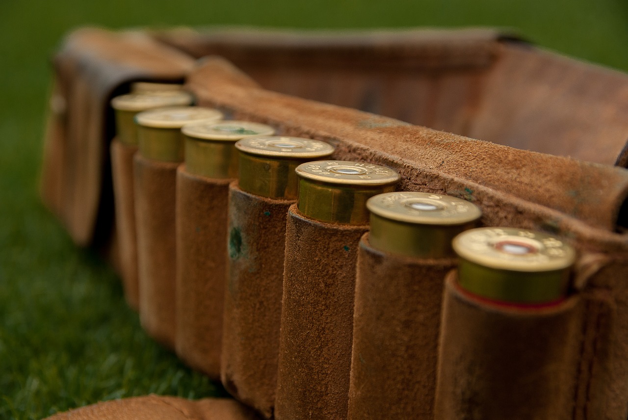 Image - hunting hunter cartridges