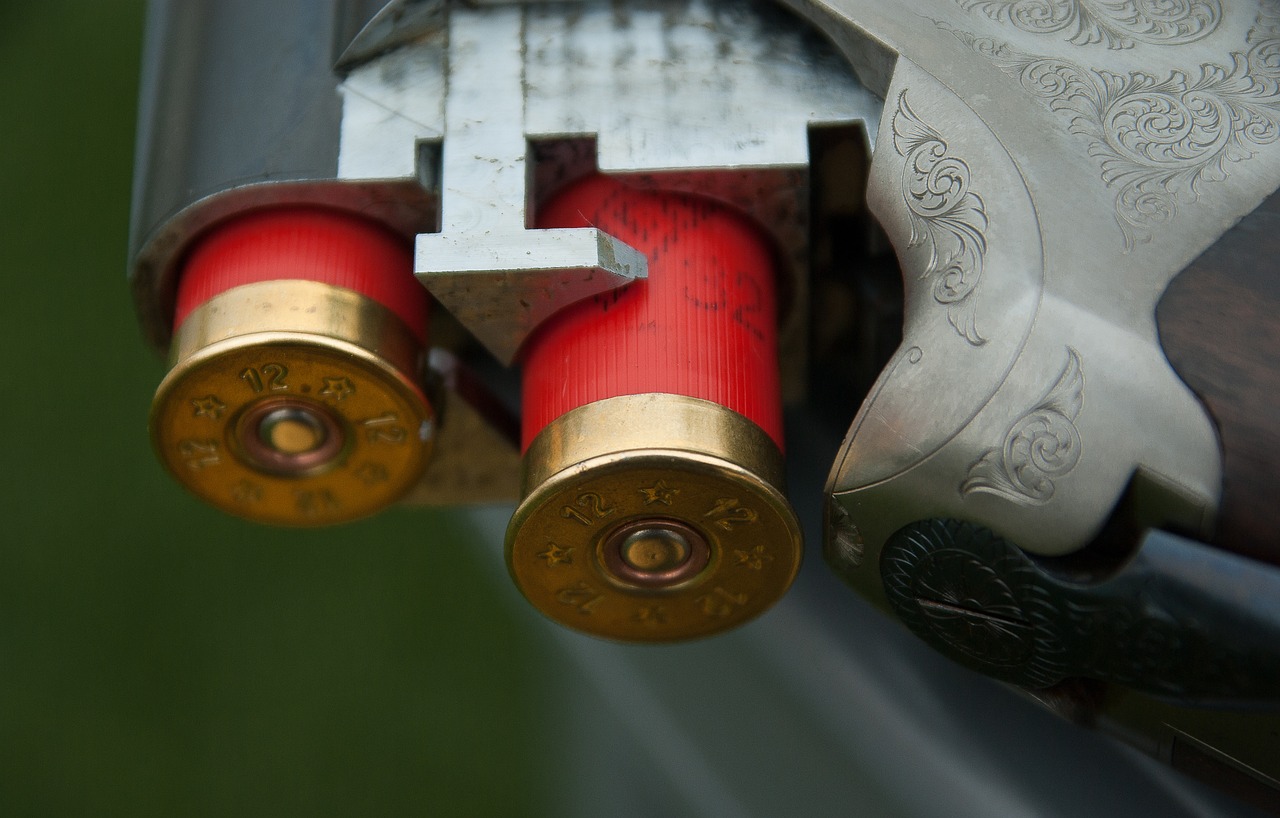 Image - gun canon cartridges hunting