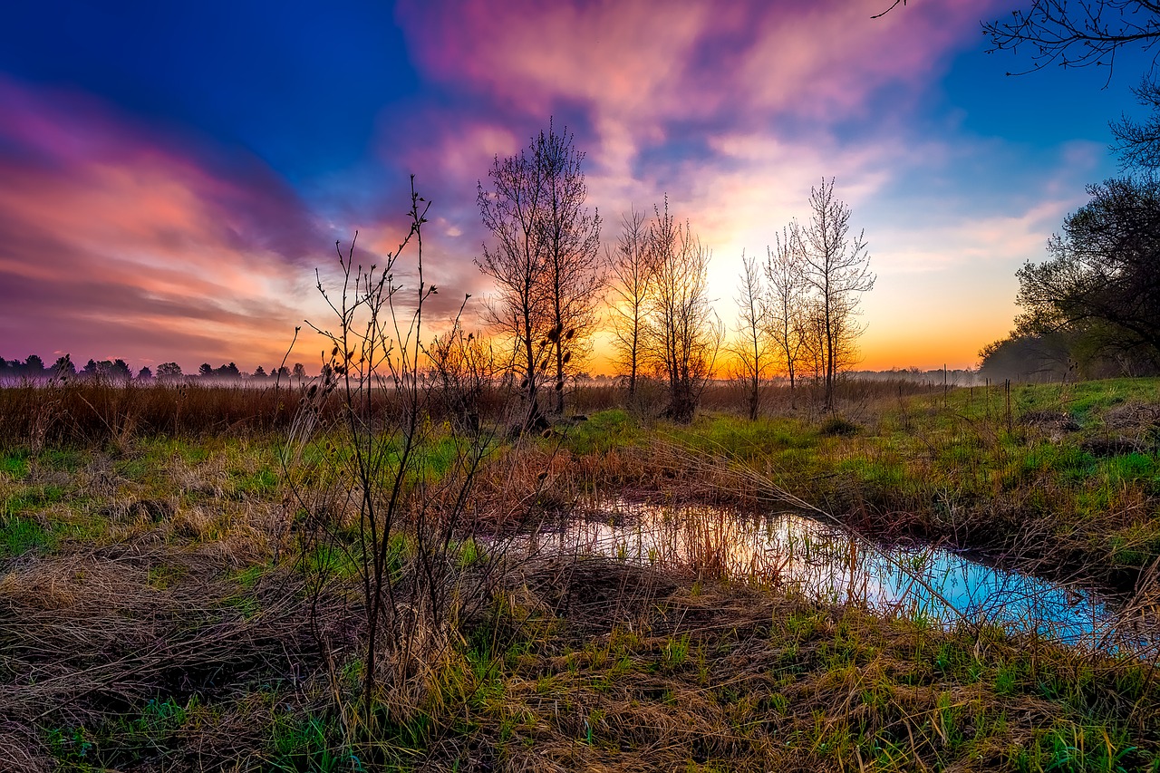 Image - sunrise mist fog sky clouds