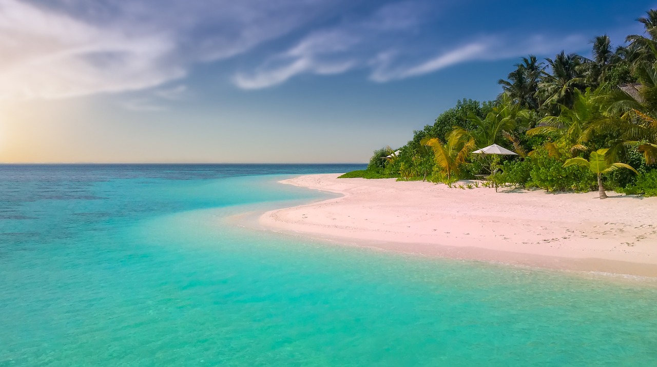 Image - pink beach beach paradise