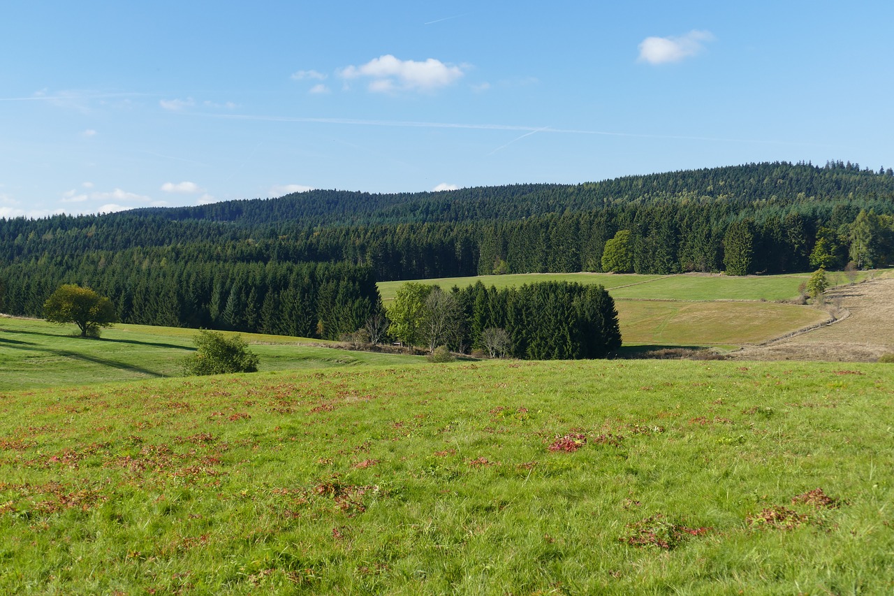 Image - meadow alm landscape nature autumn