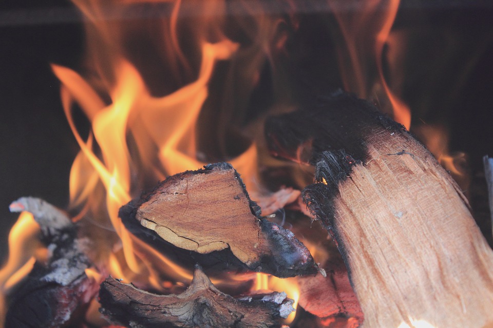 Image - fire campfire wood burning