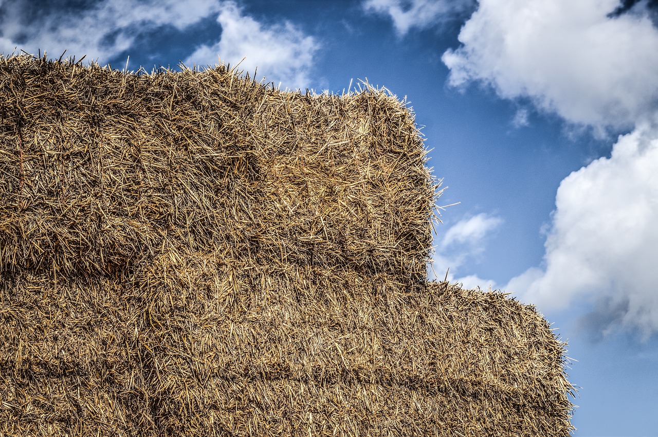 Image - straw packs of straw heaven hdr