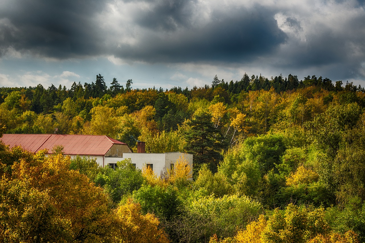 Image - forest building heaven hdr