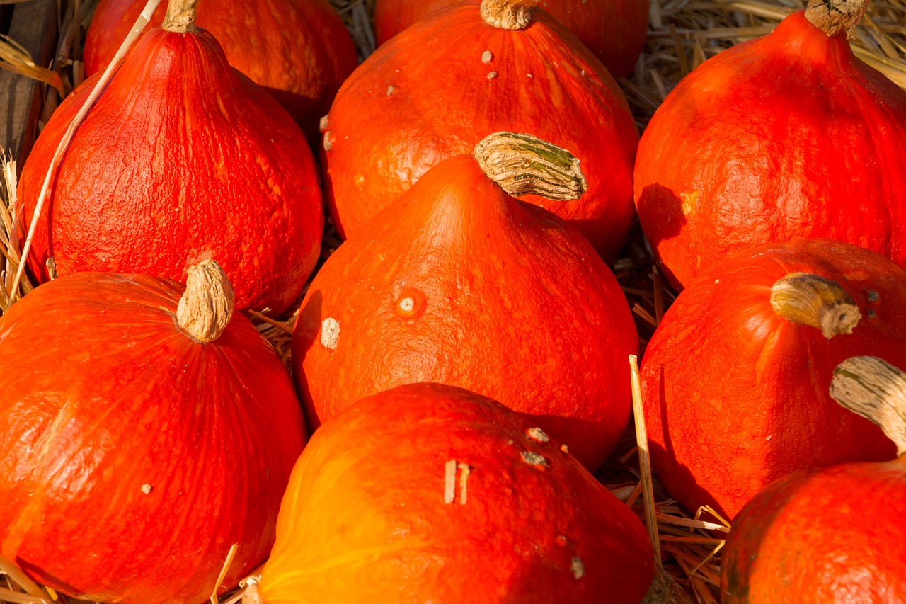 Image - pumpkin autumn halloween orange