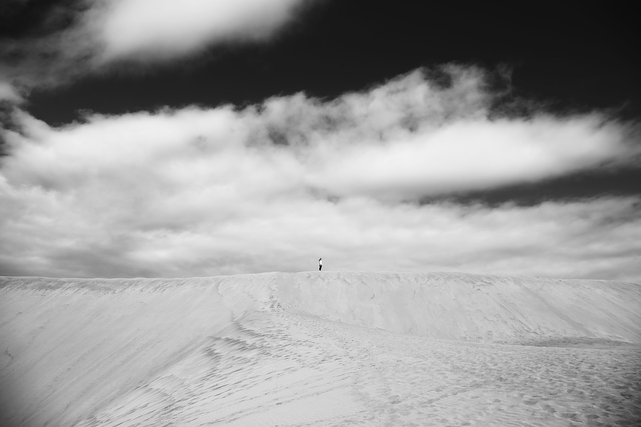 Image - dunes desert black and white