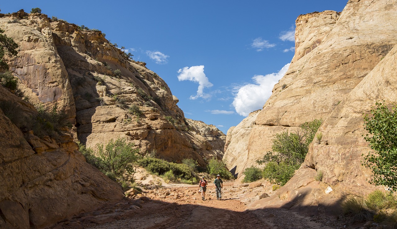 Image - hiking tourists trail outdoors